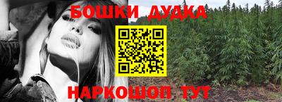 гашик Малгобек