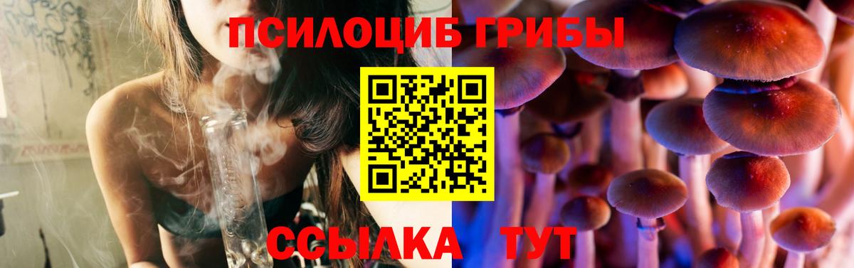 Псилоцибиновые грибы Cubensis  Вход с VPN  Псилоцибиновые грибы мухоморы  Тихвин 